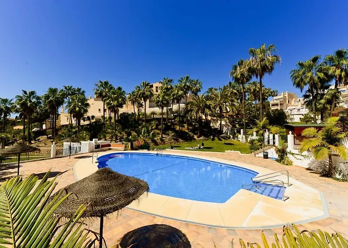18c Palmas, Oasis